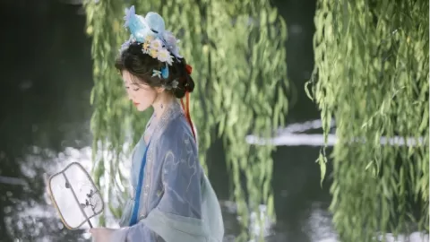 云南河口海关猪内脏夹带案